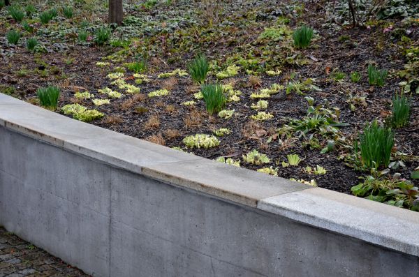 Concrete Wall Construction in Brownsburg