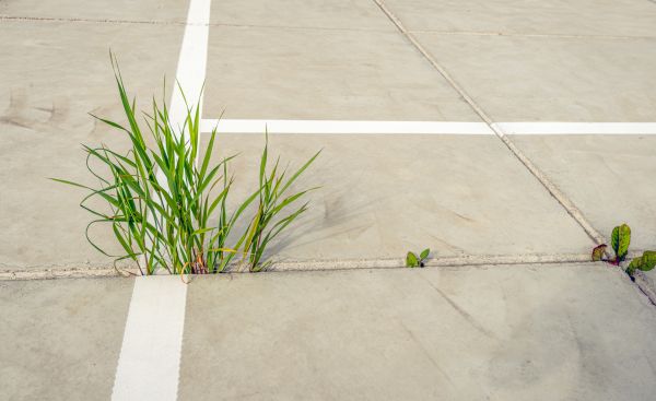Concrete Parking Installation in Brownsburg